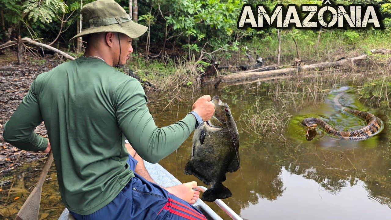 Pesca Ribeirinha, De CARA COM ANIMAIS SELVAGENS e MUITOS PEIXES na FLORESTA AMAZÔNICA 