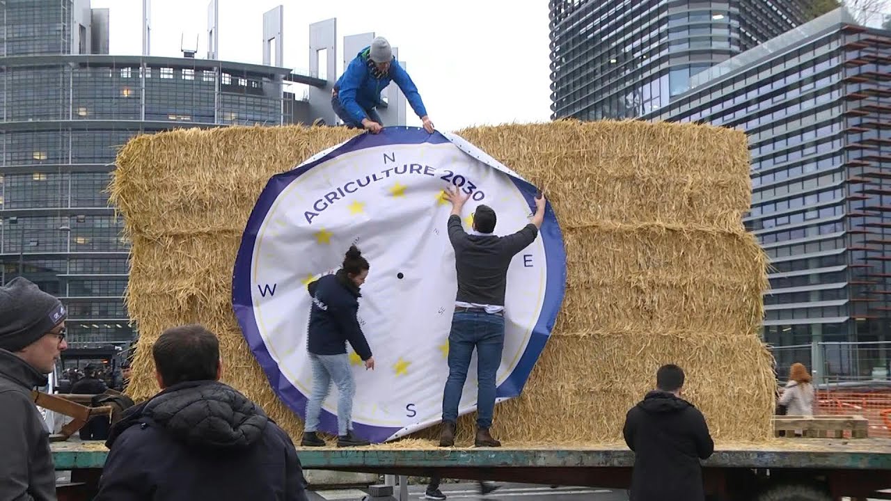 Manifestation d'agriculteurs devant le Parlement européen | AFP Images
