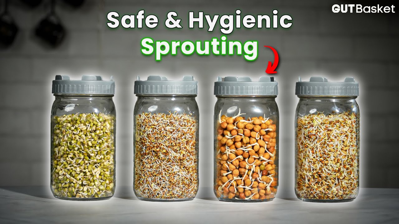 How to Sprout Safely at Home with GutBasket Sprouts Jar| No Contamination, No Odor!