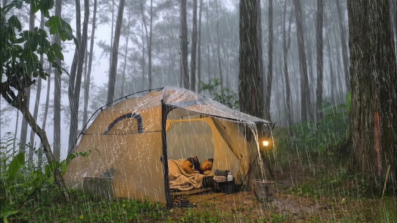 The Most Comfortable Relaxation While Camping Under Heavy Rain⛈️ Camping in Heavy Rain