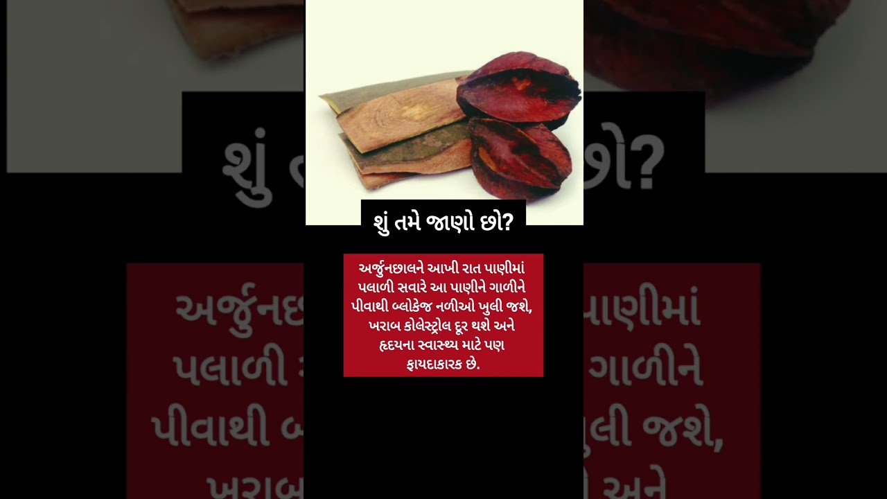 શું તમે જાણો છો? l Motivation l કૃષ્ણ ભજન l Krishnabhajan #motivation #bhajan #shorts