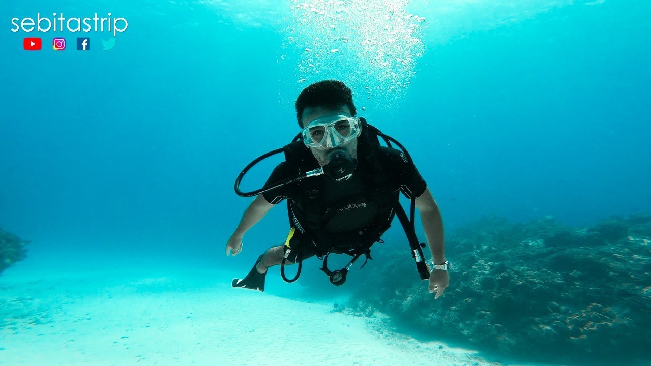 Que hacer en Cozumel ? - Buceo @sebitastrip