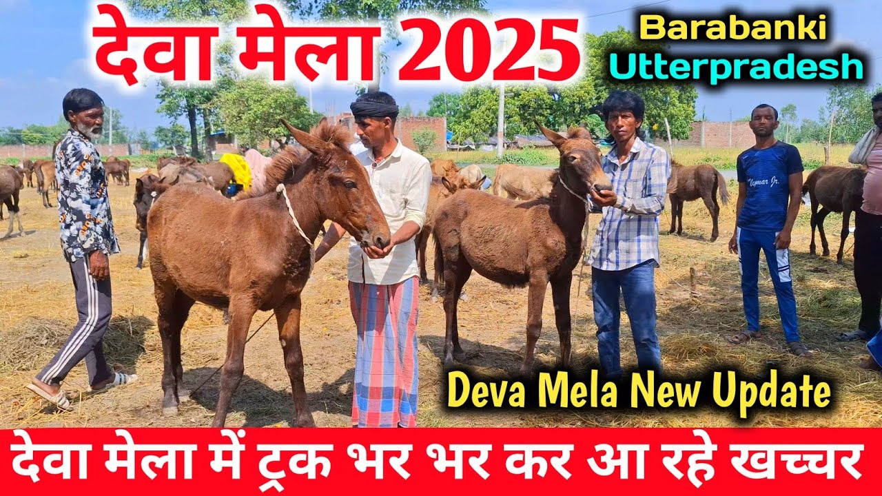 देवा मेला घोड़ा बाजार शुरू 2025 💥💯 |Deva Mela 2025 |Deva Mela Horse market |Dewa sharif mela