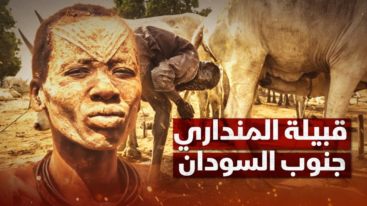 يستحمون ببول أبقارهم.. تعرف على 