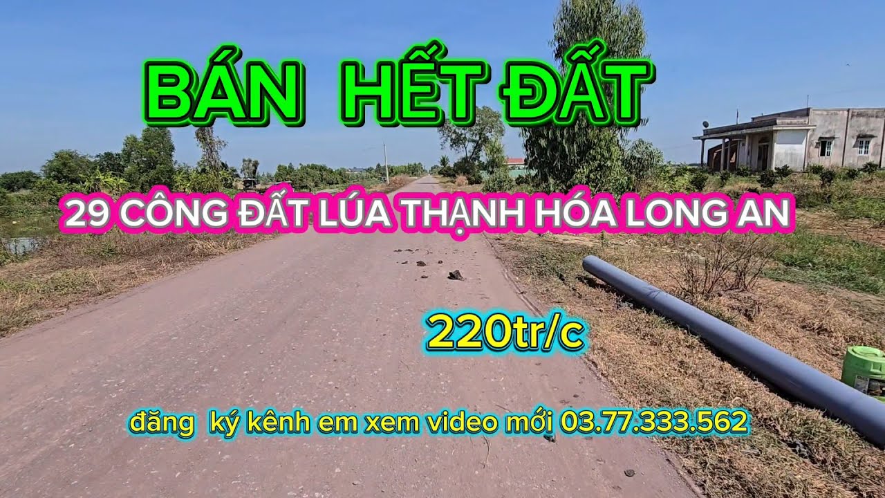 Anh  2  lúa  bán 29 công đất, thạnh hóa long an, lô  đất  ai  thấy  cũng  muốn  mua