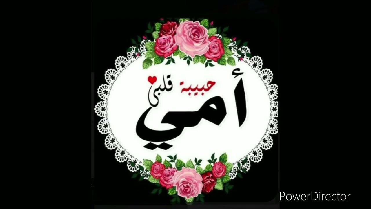أمي جنتي 💝💞👩‍👧فيديو حصري لست الحبايب#امي#اميجنتي#ستالحبايب🌹🌹