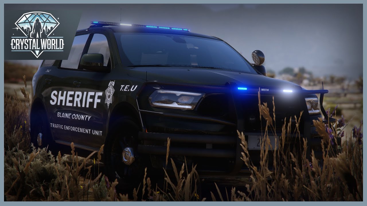 TRAFFIC ENFORCEMENT UNIT IN ACTION! | CWRP 3.0 | #28