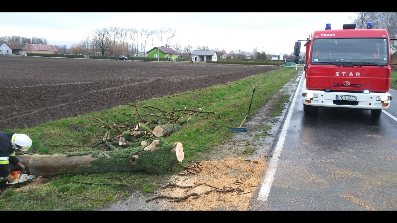 |Ochotnicza Straż Pożarna w Kramsku| GBA369[P]32 Alarmowo do powalonego drzewa na DW 266