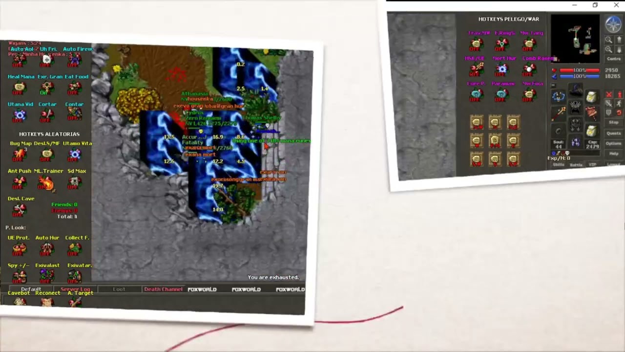 Fox Bot, Wil noia Team Dead