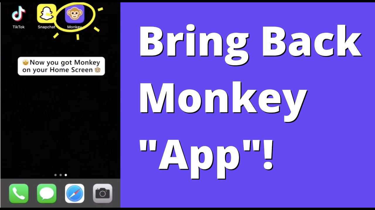 🙊Official: Monkey 