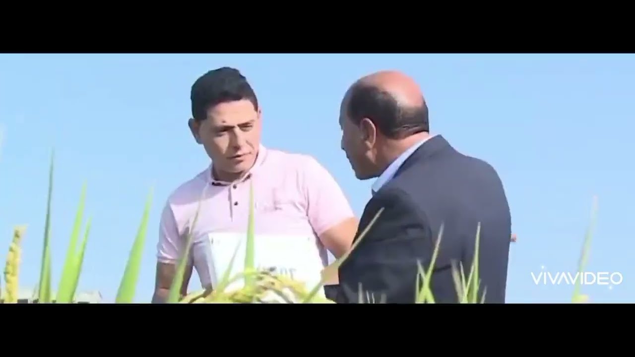 استنباط أصناف جديدة من محصول الأرز تعطي 6طن للفدان الأستاذ الدكتور حمدي الموافي