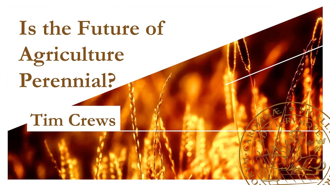 Tim Crews, The Land Institute: Is the future of agriculture perennial?