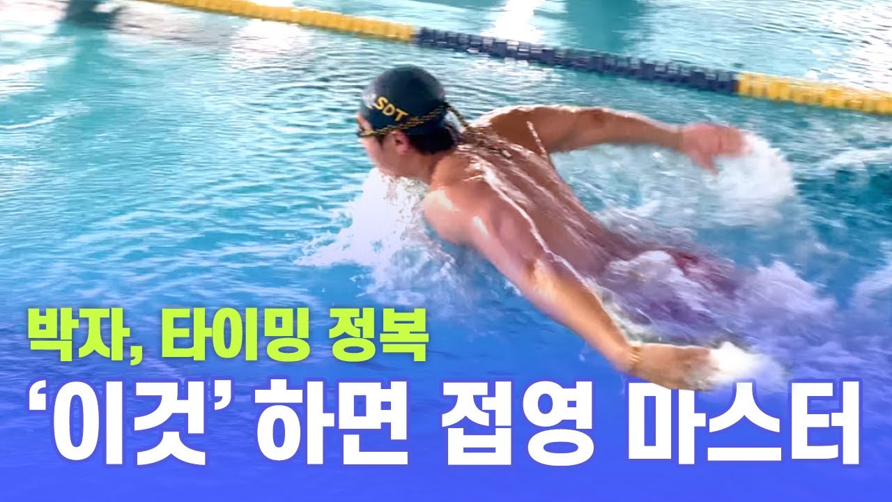 또중ㅣ접영 박자.타이밍 드릴 올라오기가 너무 쉬워졌어요ㅣbutterfly drill