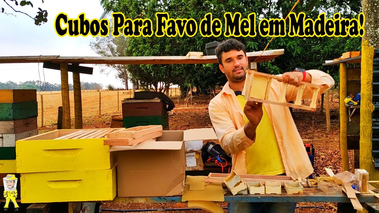 PRODUÇÃO DE FAVO EM CUBO DE MADEIRA, MONTAGEM | CRIANDO ABELHAS!