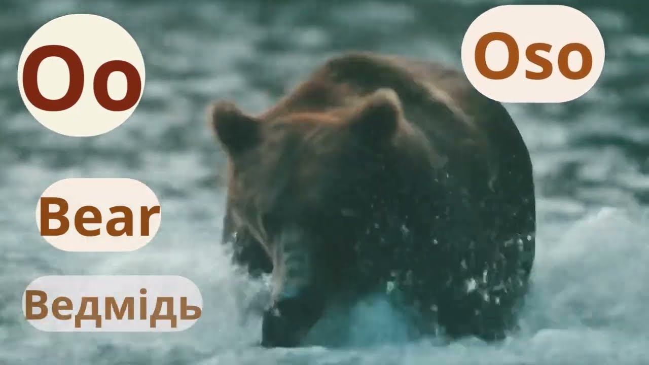Spanish alphabet Hh-Zz /Іспанська абетка