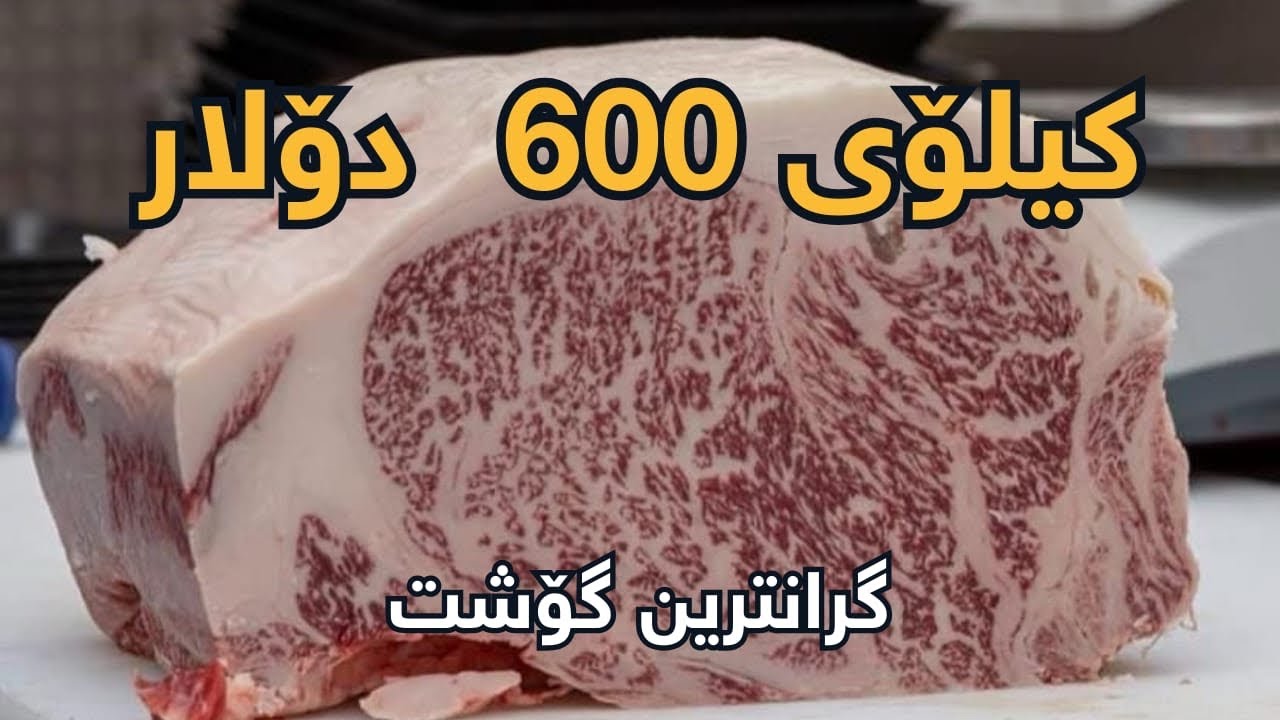Trying Japanese A5 Wagyu Steak |  تاقیکردنەوەی گرانترین گۆشتی جیهان واگیو