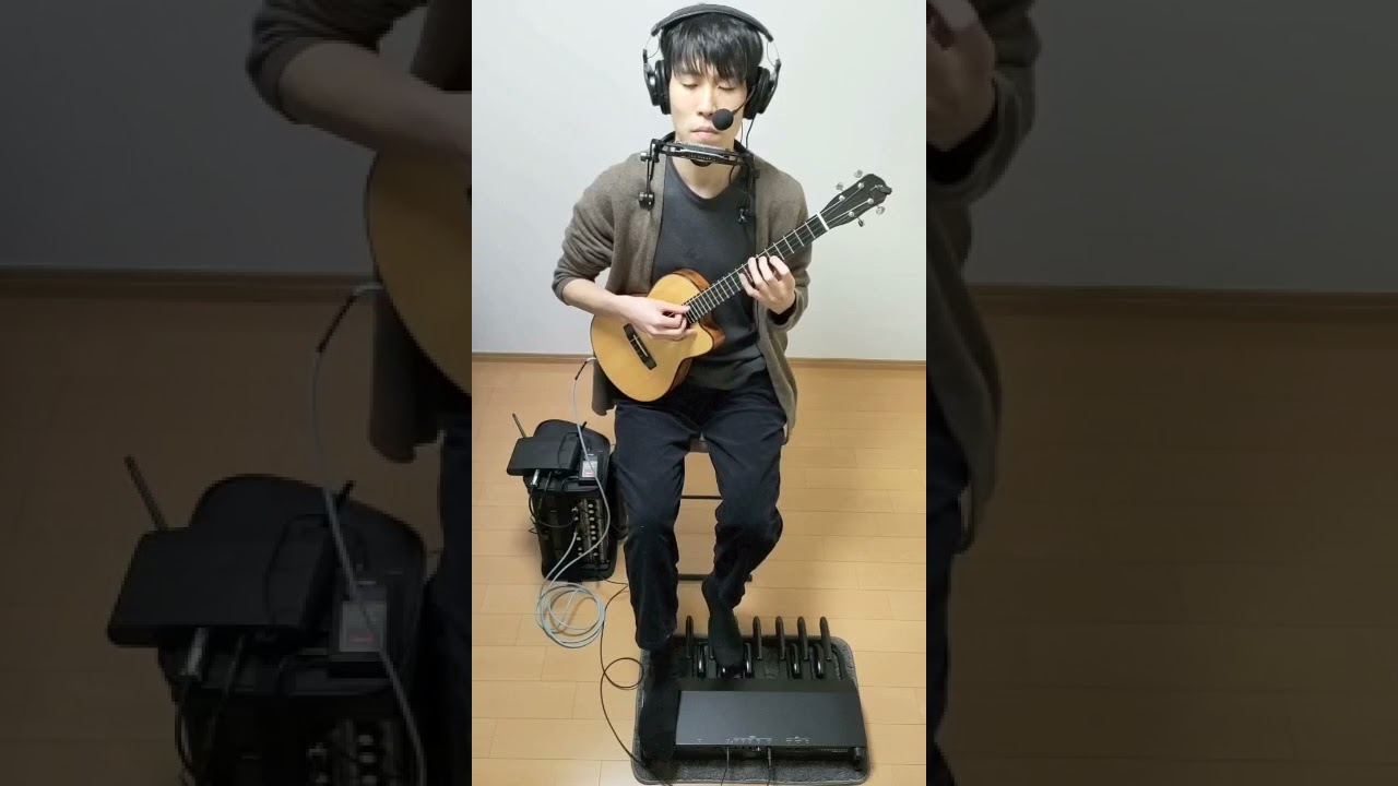 Fly Me to the Moon - Harmonica, Ukulele, & Bass Pedals