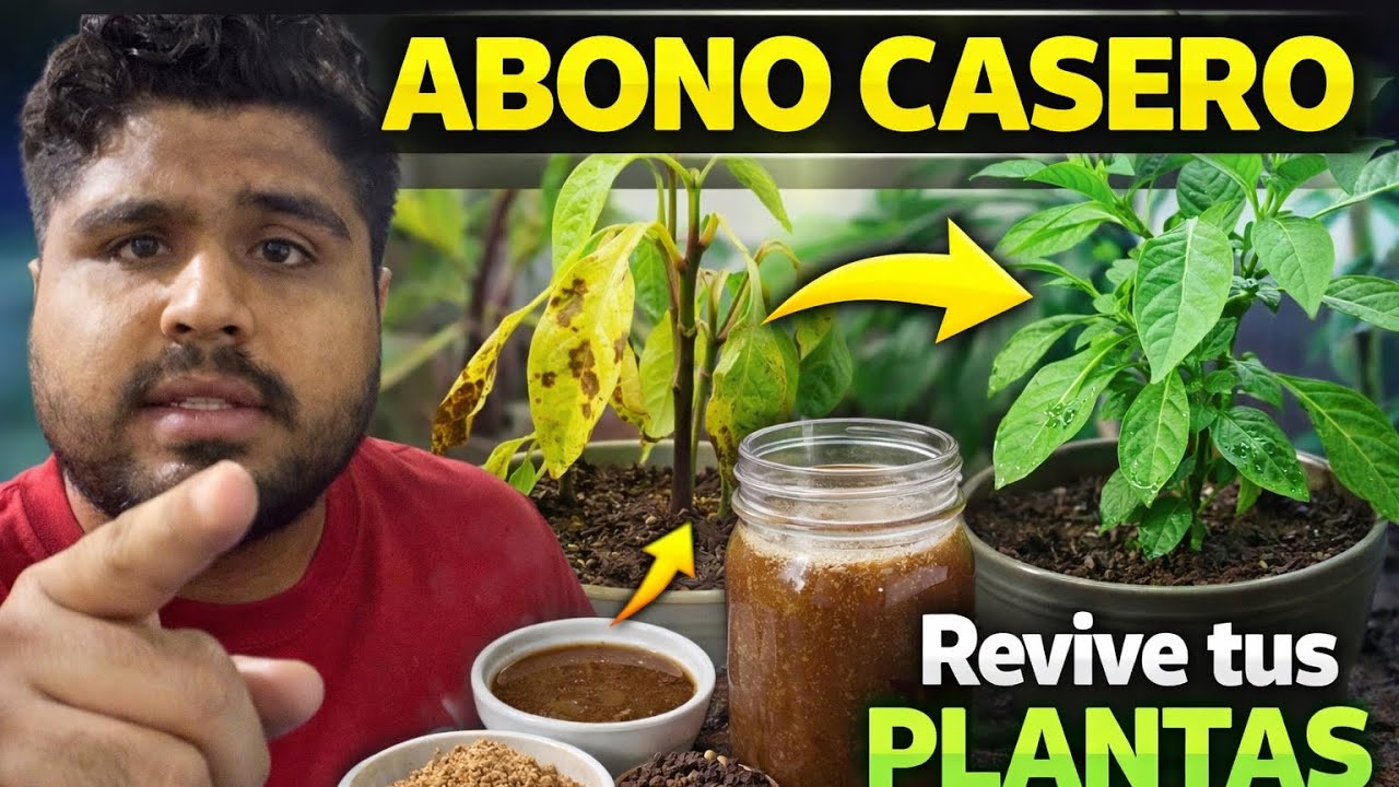 Este Abono Casero Revive Plantas Enfermas en Días 🌱 (Natural y Potente)