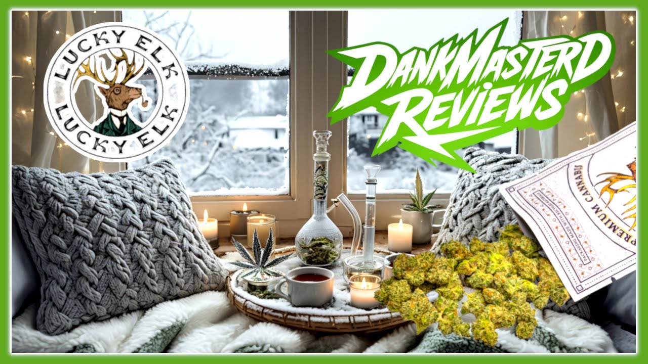 🔥 Впервые пробую Lucky Elk! Обзор 5 сортов THCA 🌿💨 | Овсяные печенья, Purple Drank и многое другое 💨