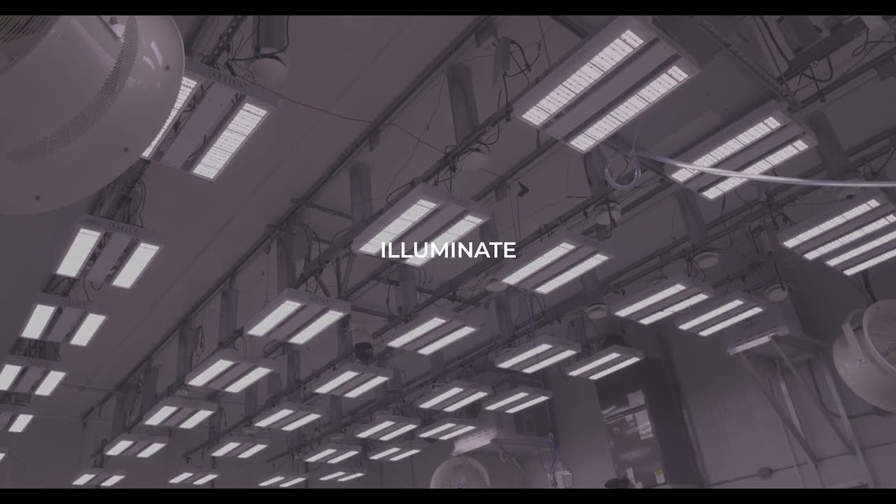 We Are Aelius LED