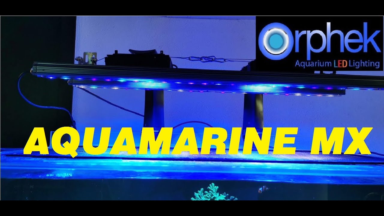 ¡Complementando mi iluminación! Orphek V2