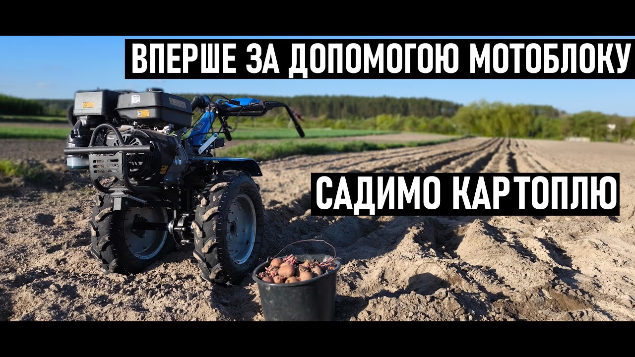 ПЕРША ПОСАДКА КАРТОПЛІ ЗА ДОПОМОГОЮ МОТОБЛОКА ДТЗ 💙💛