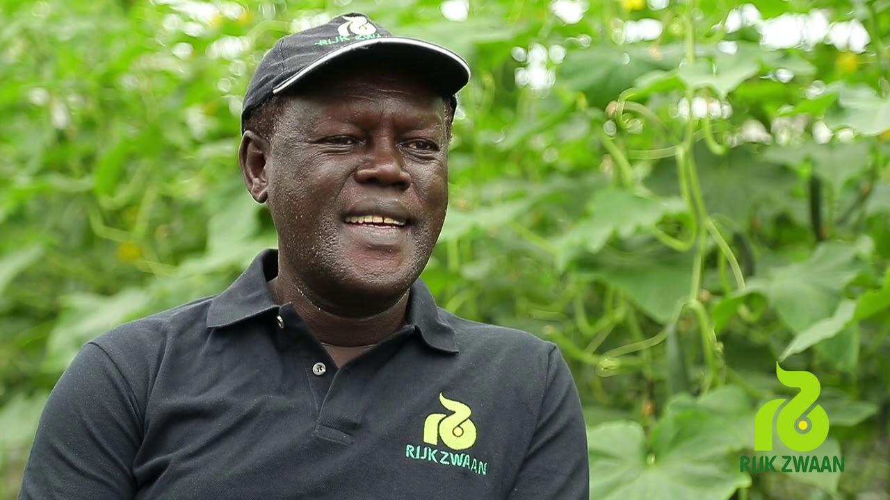 Rijkzwaan Tanzania