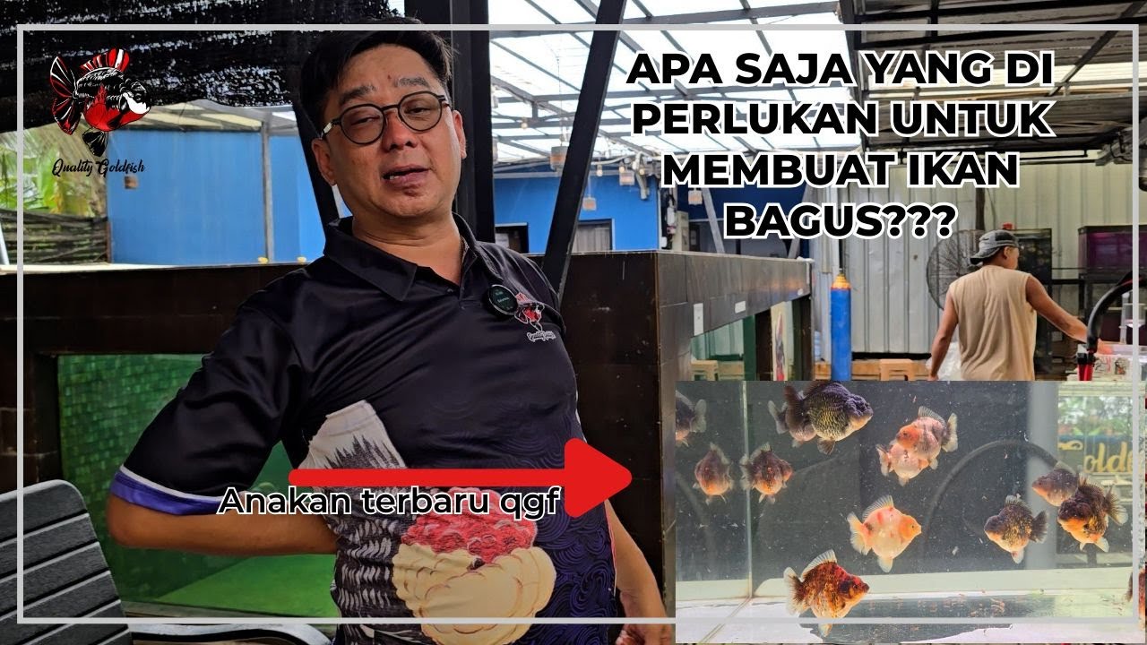 APA SAJA YANG DI PERLUKAN UNTUK MEMBUAT IKAN BAGUS???