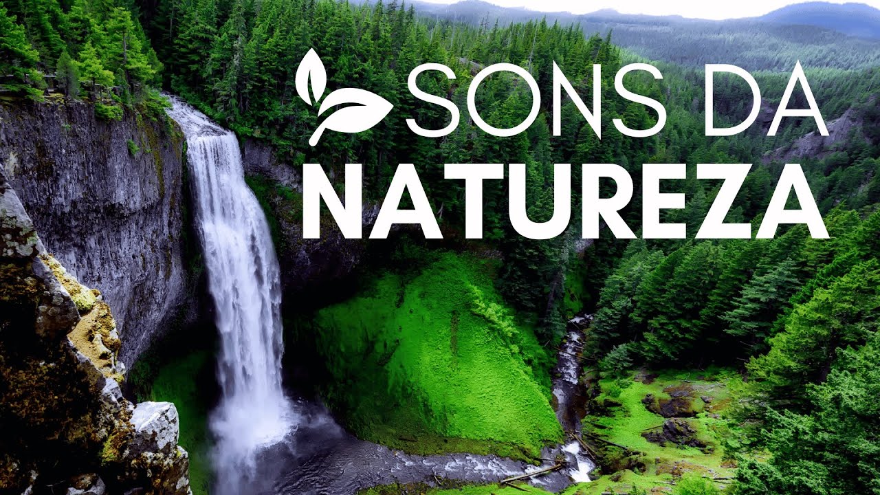🍂 Sons da Natureza M&uacute;sica para Limpar seus Pensamentos e Acalmar a Mente💧 Paz Interior 💦
