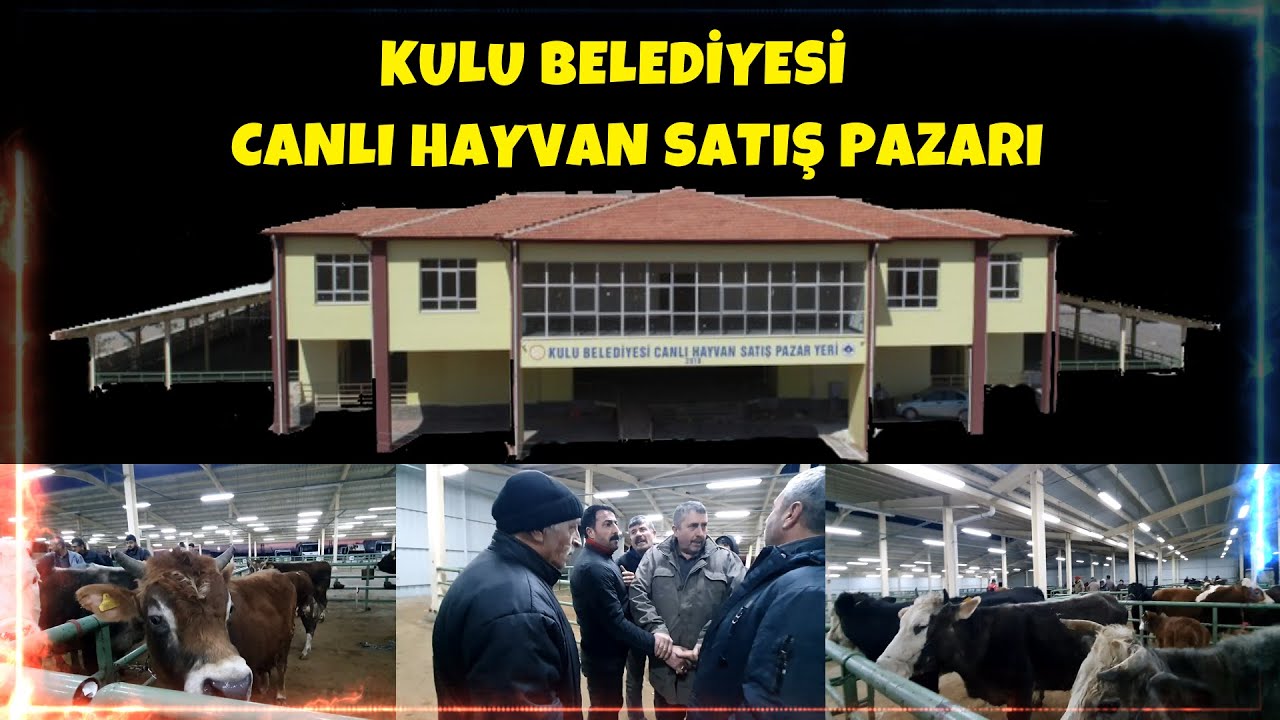 KULU BELEDİYESI CANLI HAYVAN PAZARI , FİYATLAR UÇMUŞ