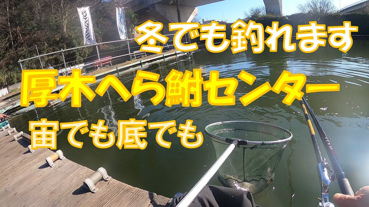 冬でも釣れる！厚木へら鮒センターで底釣り＆浅ダナ