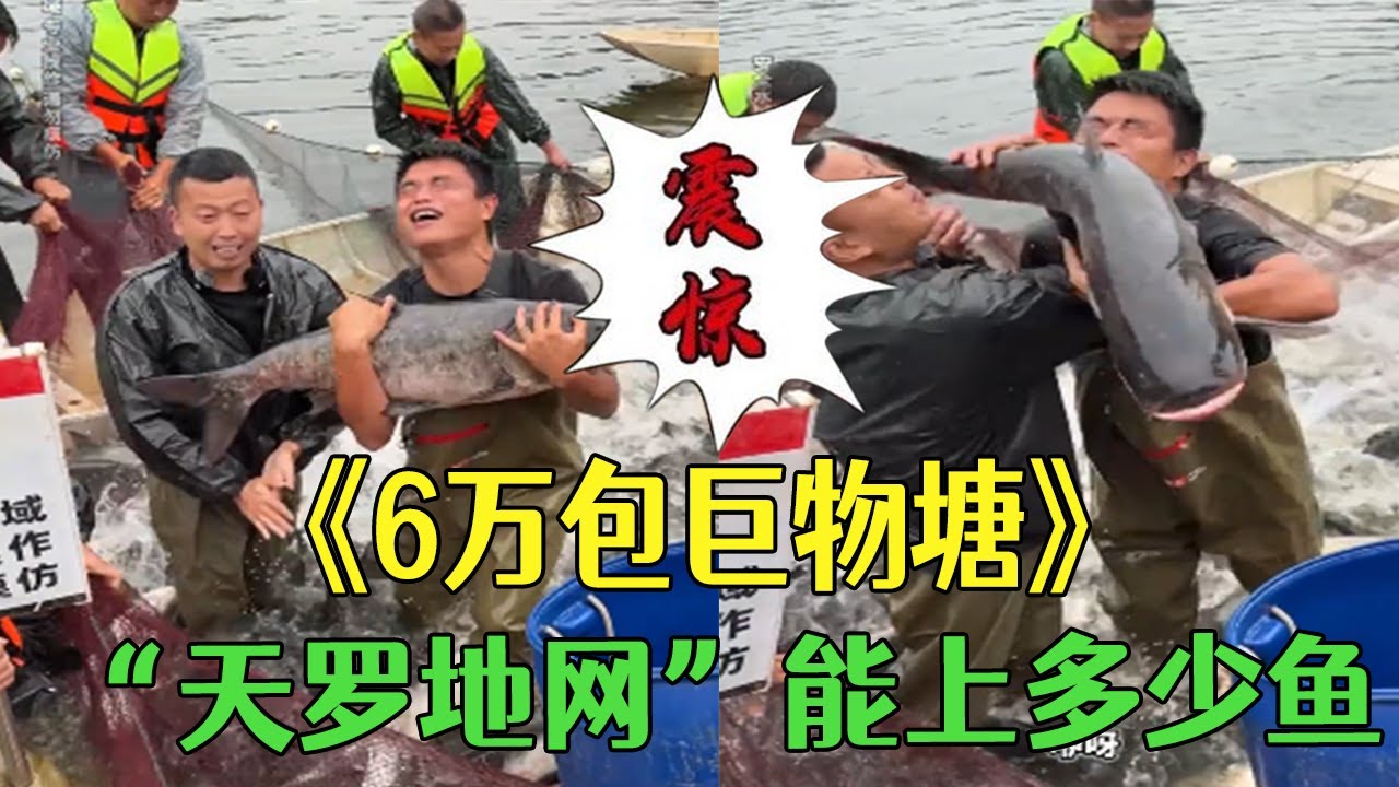 花6萬塊包壹個巨物塘，布下壹個”天羅地網“，看看能上多少魚！#小飛哥#三農  #戶外  #抓魚  #新農人計劃2025