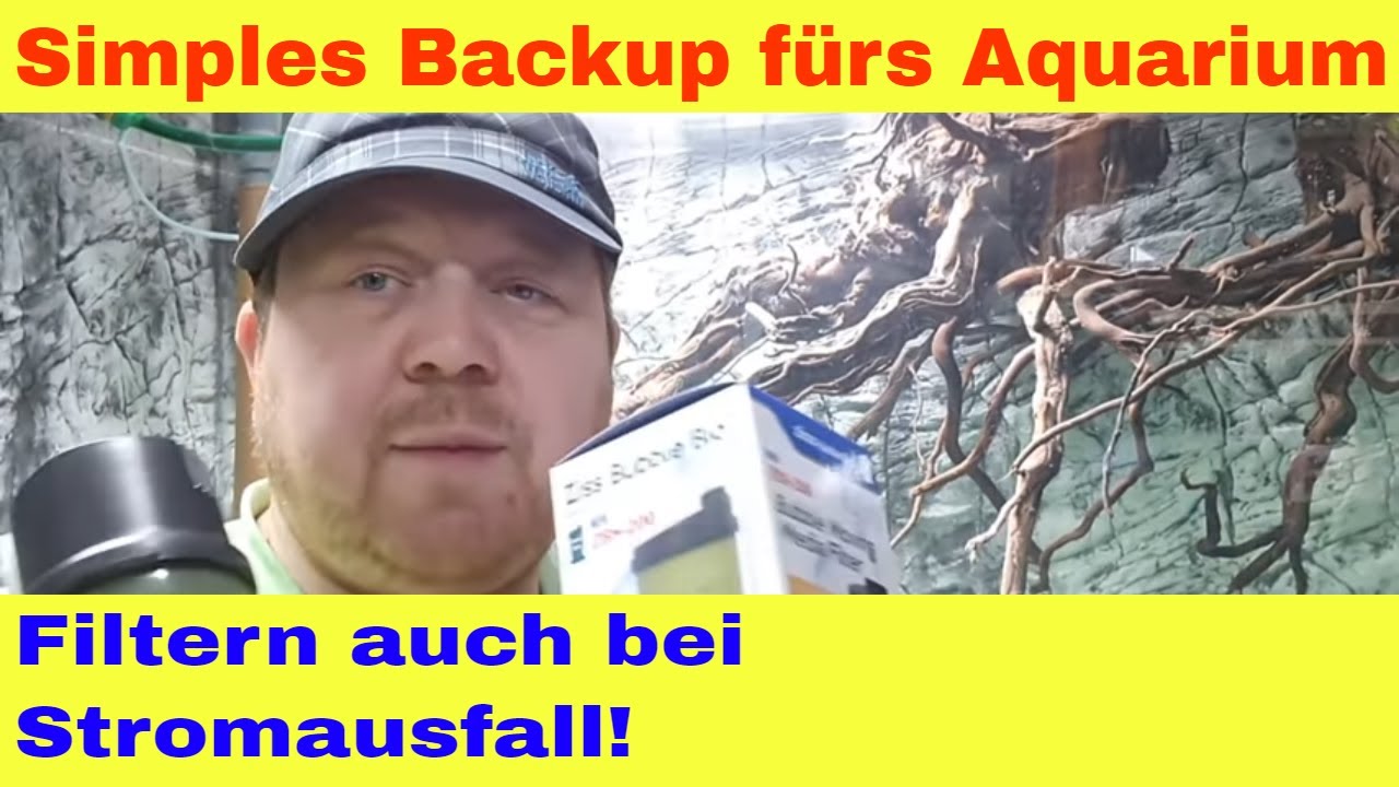 Versteckter Notfallfilter für das Aquarium - Ziss Bubble Moving Media Filter Erfahrungen Test
