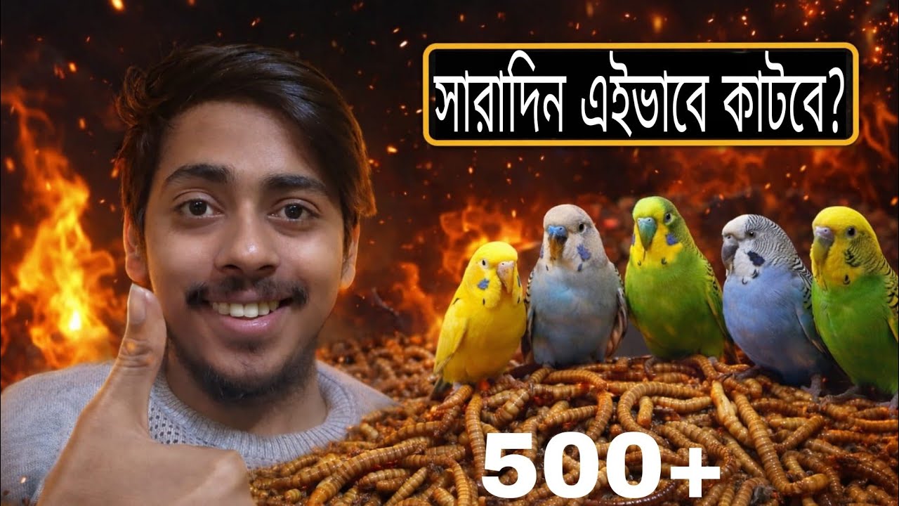 সকাল হতেই পাখির দেখে আমি অবাক হয়ে গেলাম 😵😵😵