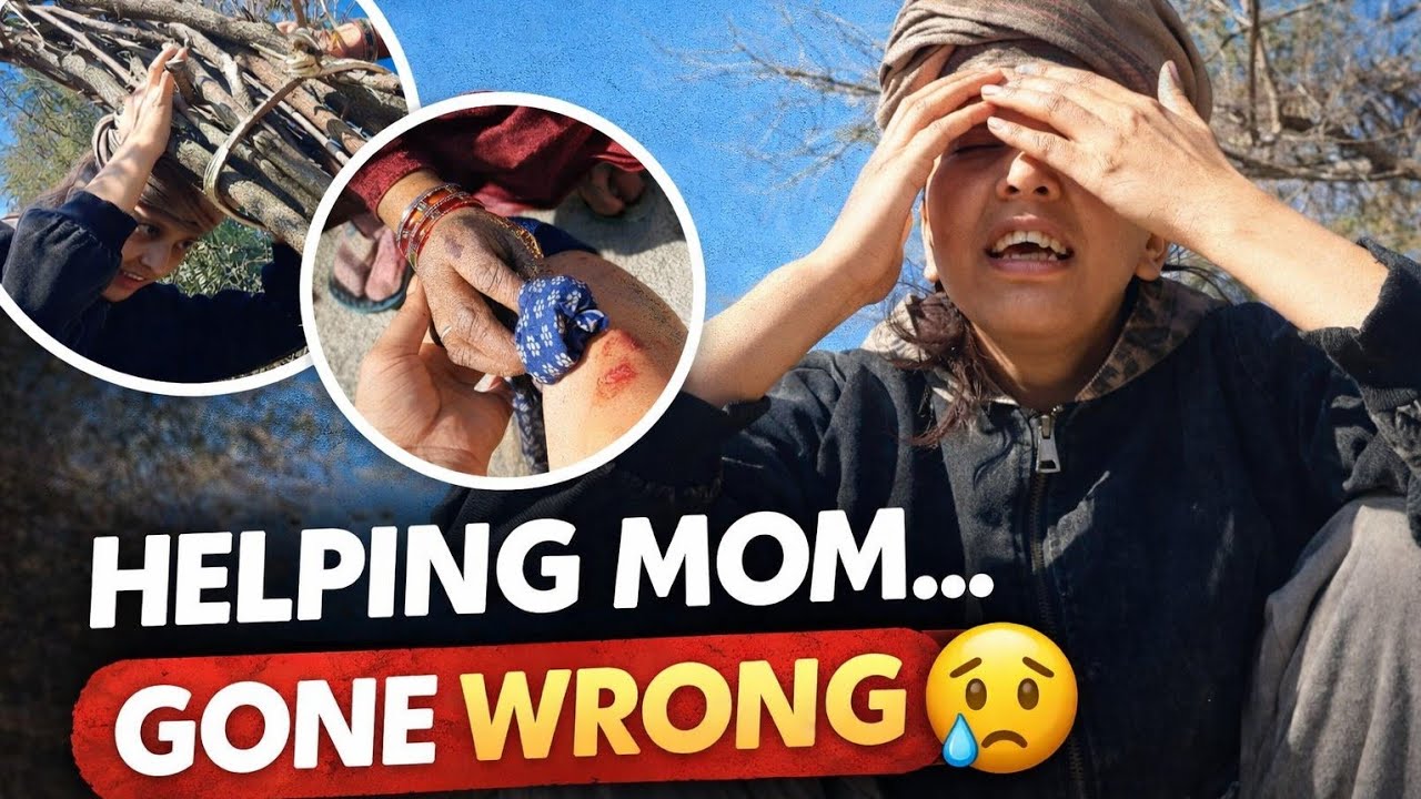 Mmi कि मदद करना पड़ गया महंगा | Village life Reality | A day in my life | Heena Bansal Vlog