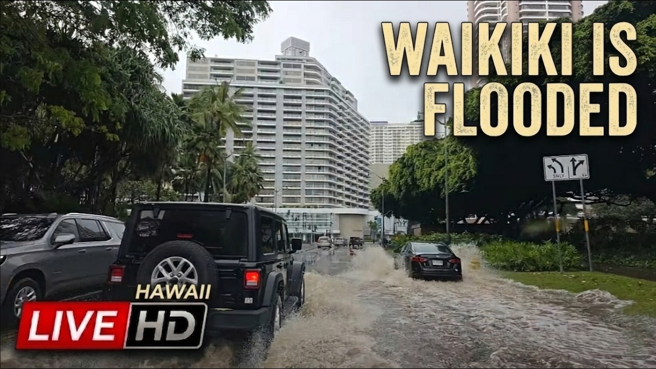 LIVE: Waikiki Flooding! Major Rain Impacts Paradise! 🌴  Hawaii John