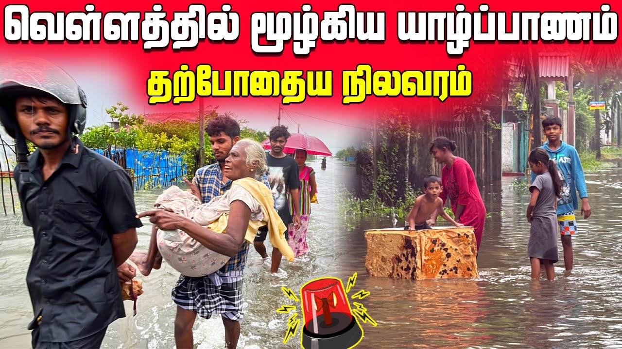 யாழில் தீவிரமடையும் காலநிலை | வெளியேறும் மக்கள் | Current Situation In Jaffna | Sri Lanka