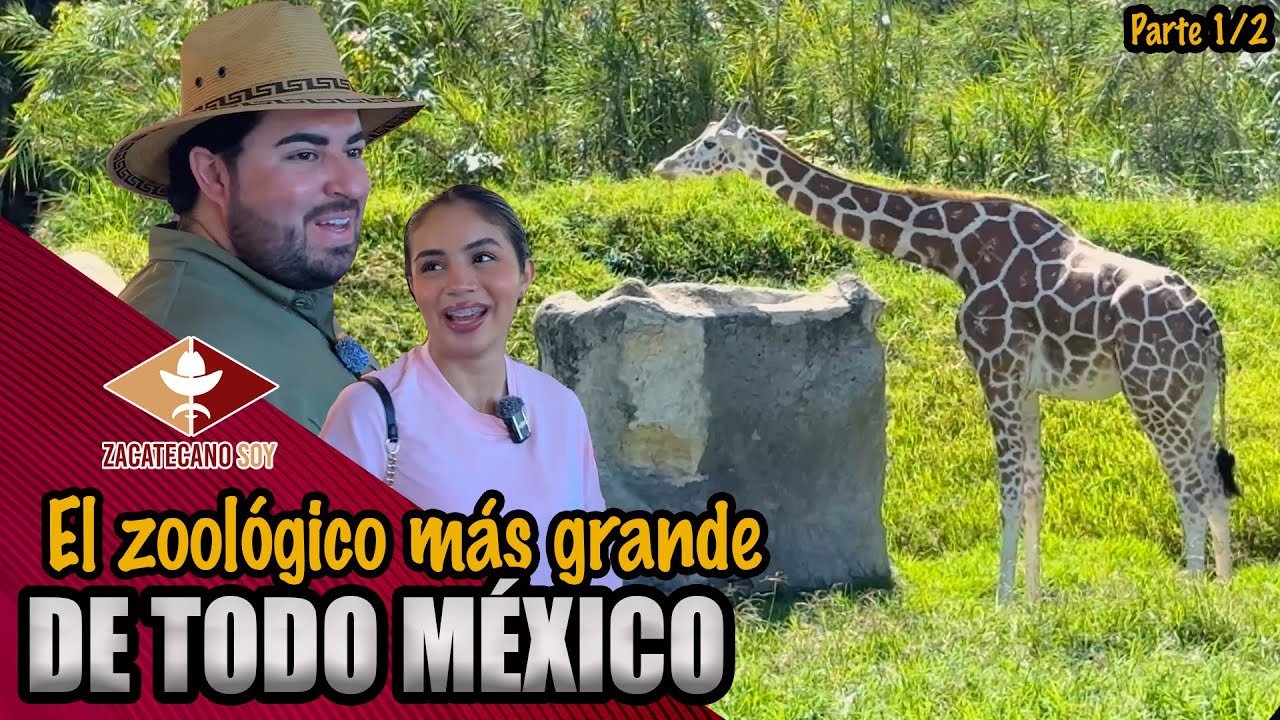 EL ZOOLÓGICO MÁS GRANDE DE MÉXICO está en Guadalajara