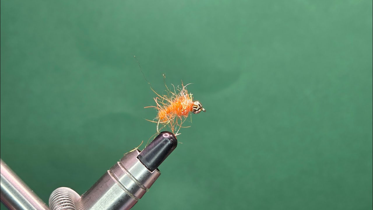 October Caddis - One Fly A Day