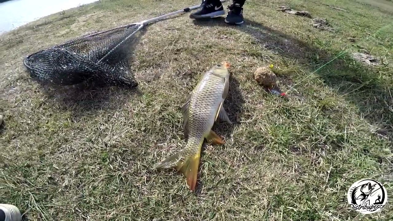 PESCA EN LA CASCADA CANAL 15 EL SALADO, NACHO NOS PASA EL TRAPO CON SU MOJARRERO CASERO PESCA PEJE..