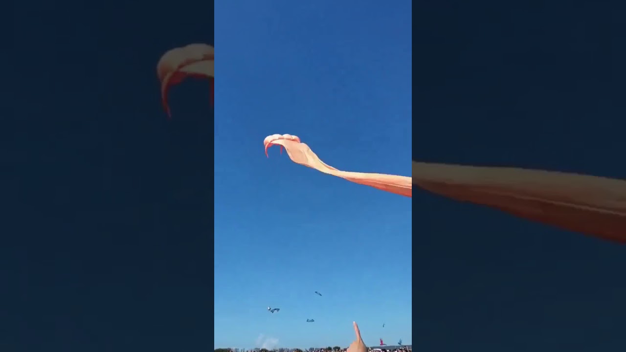Kite festival accident