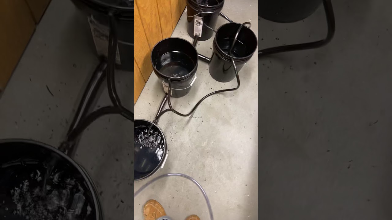RDWC DWC bucket set up