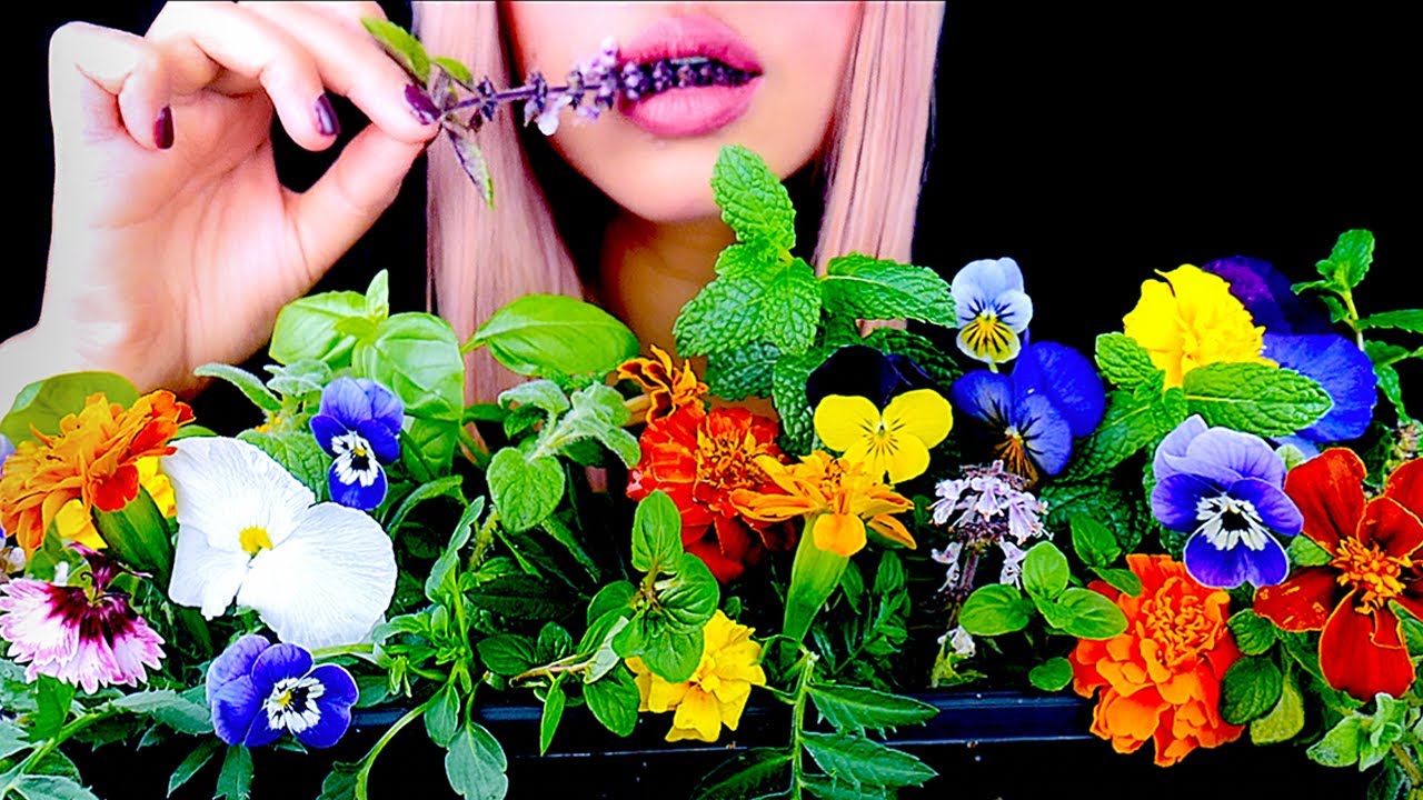 ASMR Edible Flower Garden, Dirt, Worms (Prank) Eating Sounds 먹방
