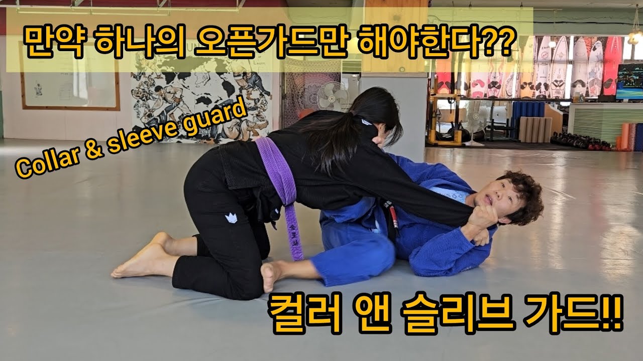 흰띠는 제발 이것만 10번 보세요!!
