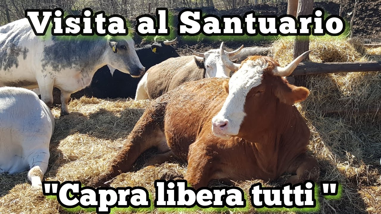 Santuario 