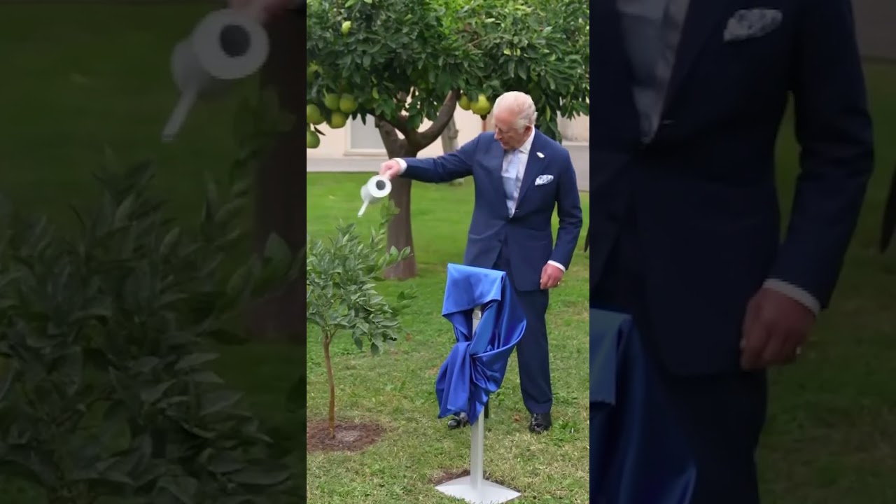 King Charles Waters an Orange Tree and Unveils a Plaque to Mark the Royals Historic Vatican Visit