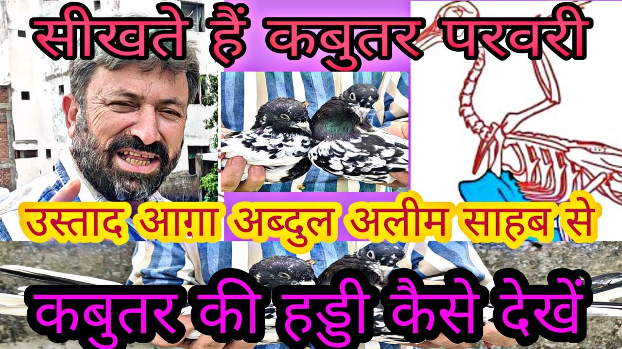 USTAD AGHA ABDUL ALEEM SAHAB HADDI OR JOD KE BAARE ME BATATE HUE | KALANCH KABOOTAR KA SHAUK |