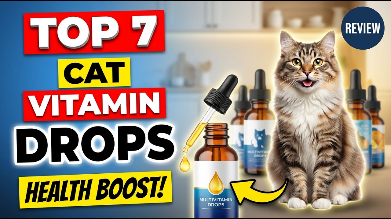 Best Multivitamins For Cats | Top 7 Cat Multivitamin Drops Review Most Vets Recommend 2026