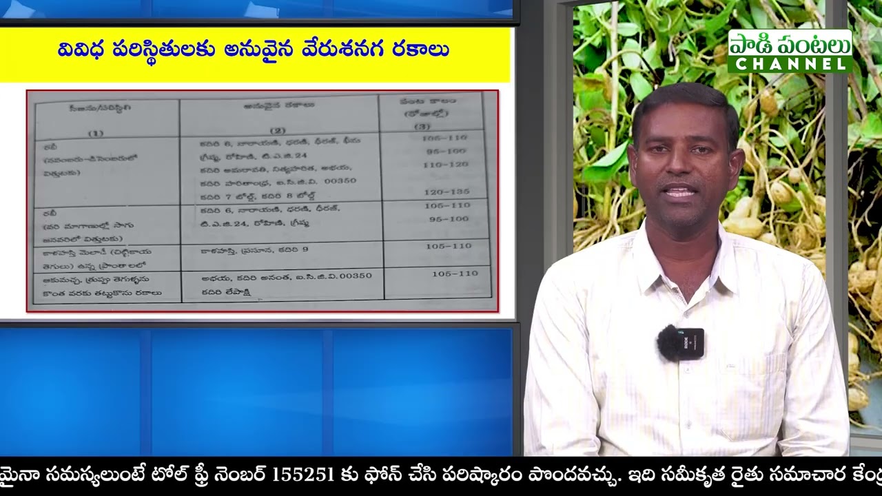 వేరుశనగలో వివిధ ప్రాంతాలకు అనువైన రకాలు డాక్టర్. పి. మహేశ్వర రెడ్డి, సీనియర్ శాస్త్రవేత్త