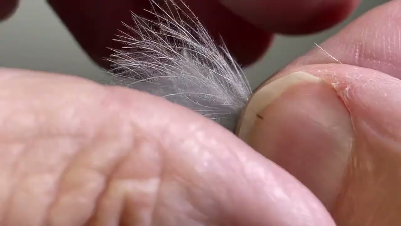 Tying a Winter Stonefly pattern.